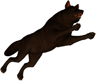Shadow leaping