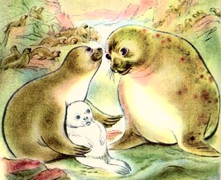 Matakh and Sea Catch admiring their white pup